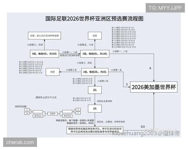 2026世界杯比赛因安全原因暂停如何处理