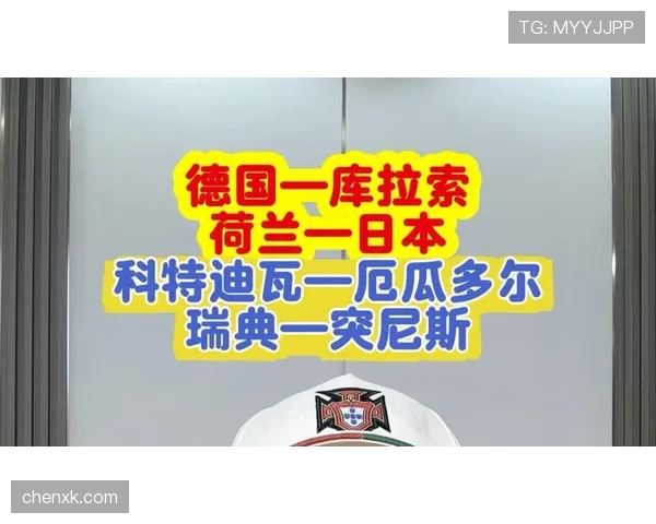 荷兰、日本、瑞典、突尼斯竞争格局分析 荷兰、日本、瑞典、突尼斯竞争格局分析
